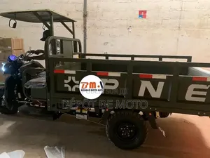 Nouveau Tricycle Autre 2024 Vert