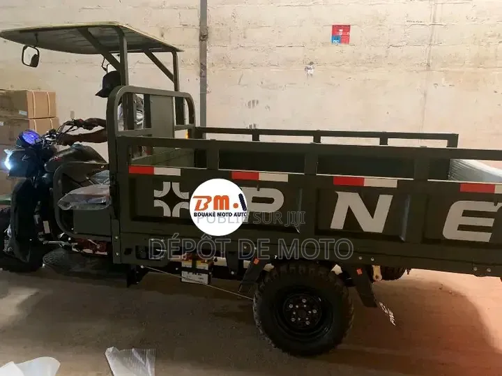 Nouveau Tricycle Autre 2024 Vert