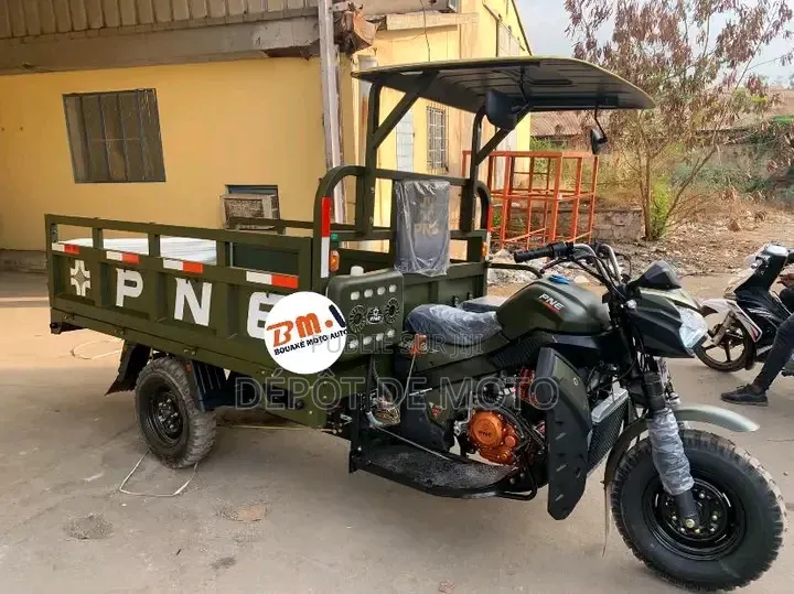 Nouveau Tricycle Autre 2024 Vert