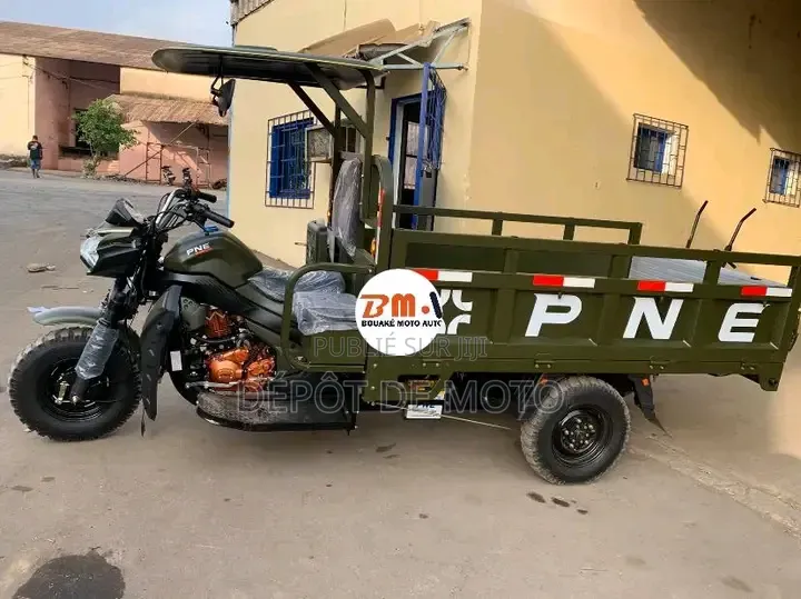Nouveau Tricycle Autre 2024 Vert