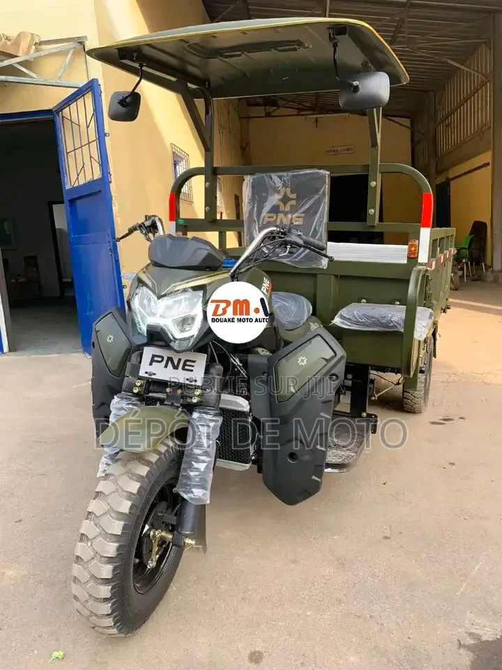 Nouveau Tricycle Autre 2024 Vert