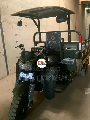 Nouveau Tricycle Autre 2024 Vert