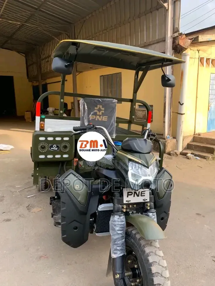 Nouveau Tricycle Autre 2024 Vert