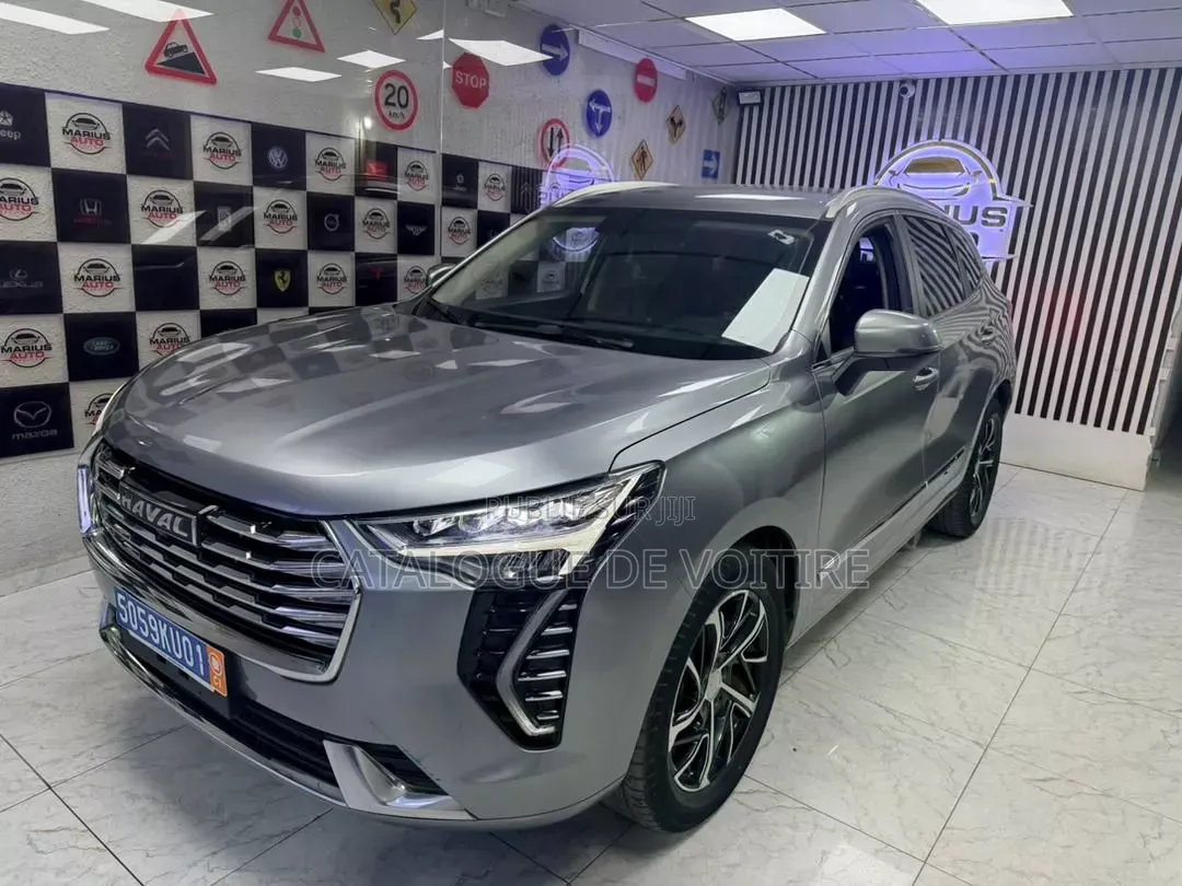 Haval Jolion 2021 Gris