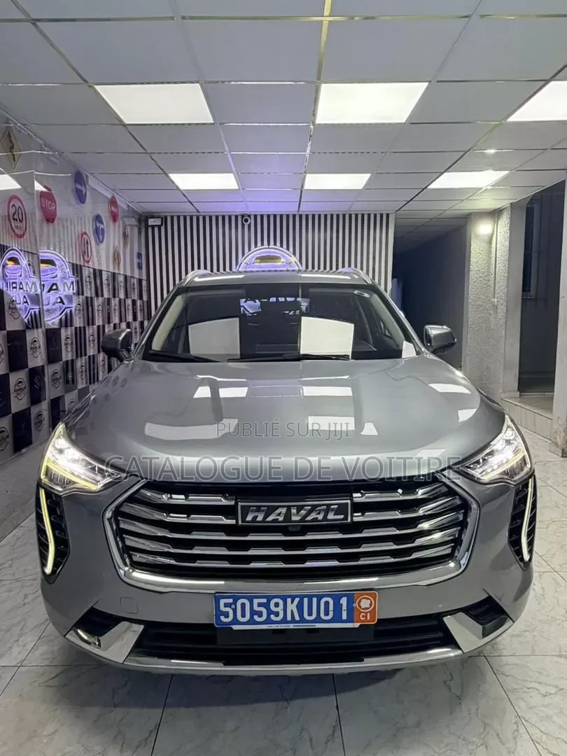 Haval Jolion 2021 Gris