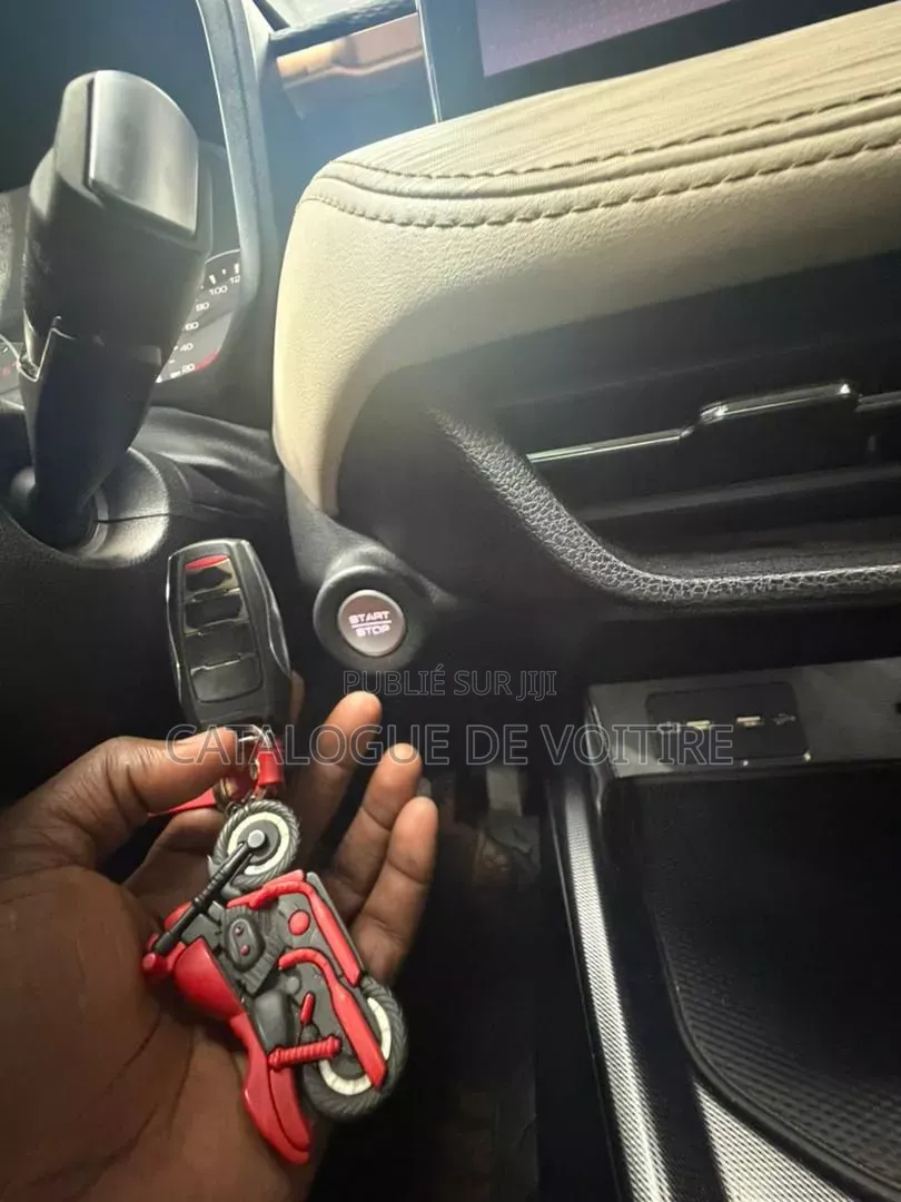 Haval Jolion 2021 Gris