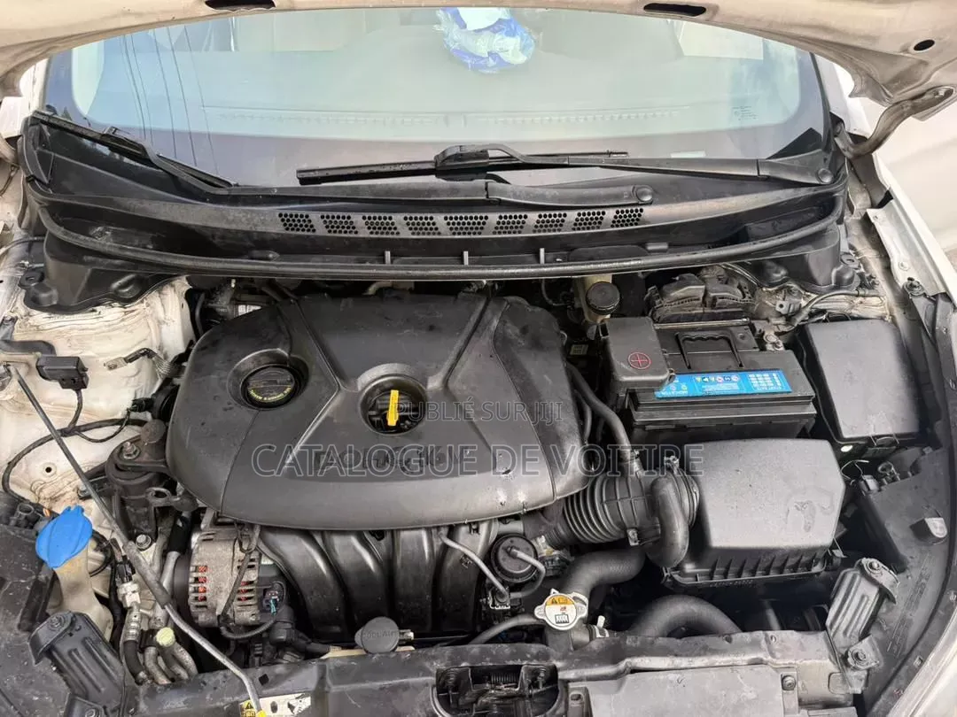 Hyundai Elantra 2016 Blanc