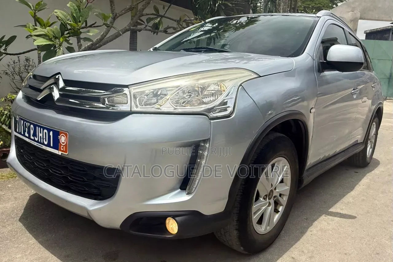 Citroen C4 2019 Gris
