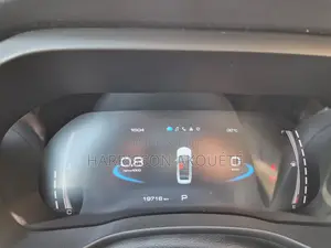 Haval Jolion 2021 Gris