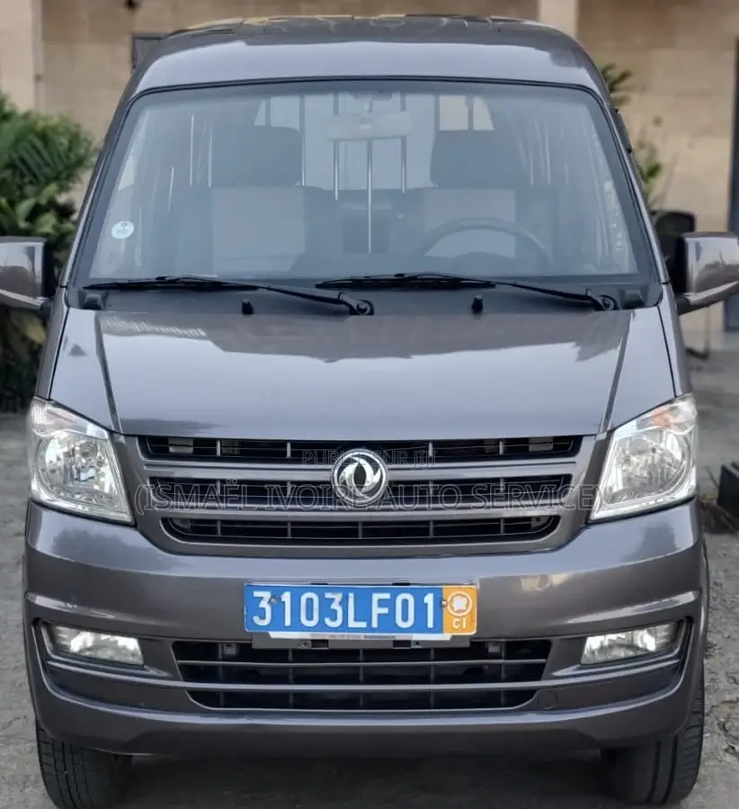 Dongfeng Fengxing Joyear 2021 Gris
