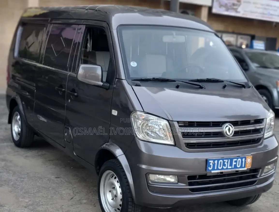 Dongfeng Fengxing Joyear 2021 Gris