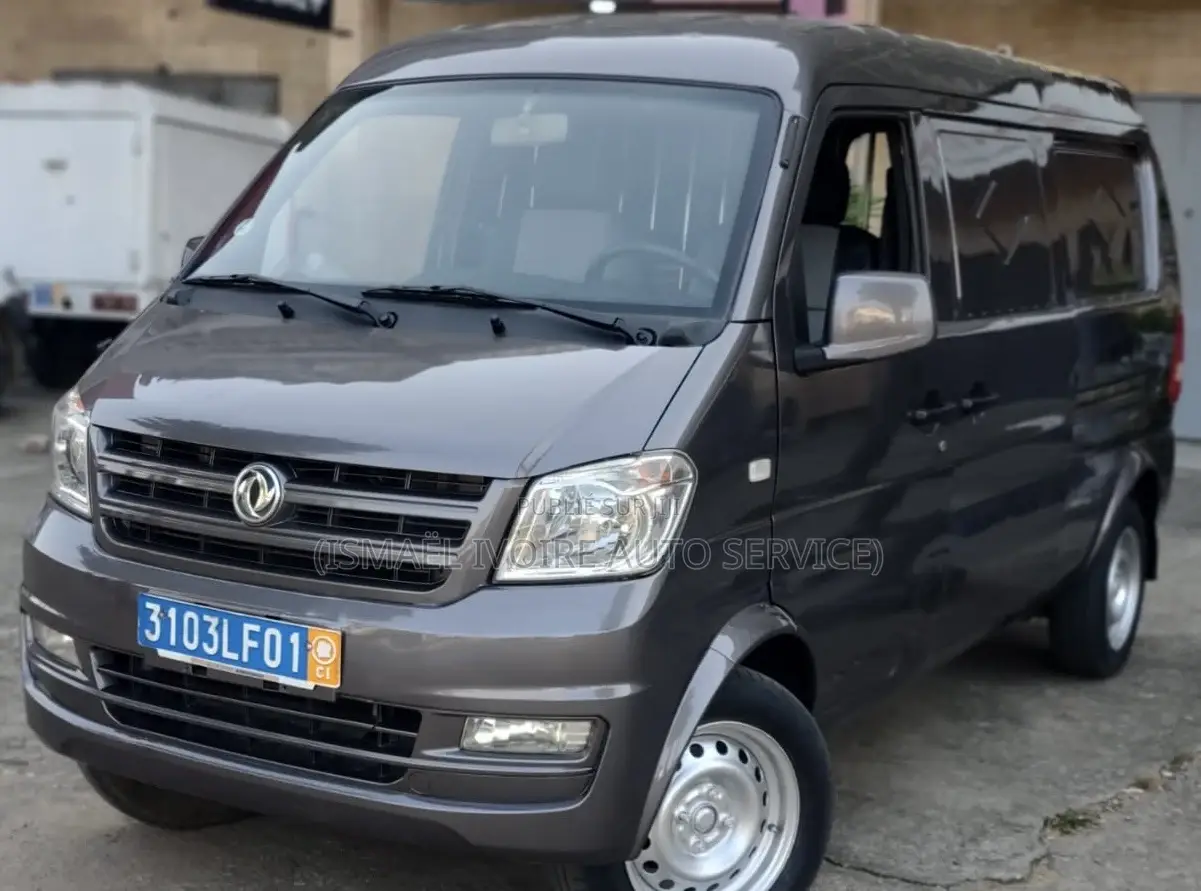 Dongfeng Fengxing Joyear 2021 Gris
