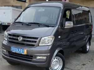 Dongfeng Fengxing Joyear 2021 Gris