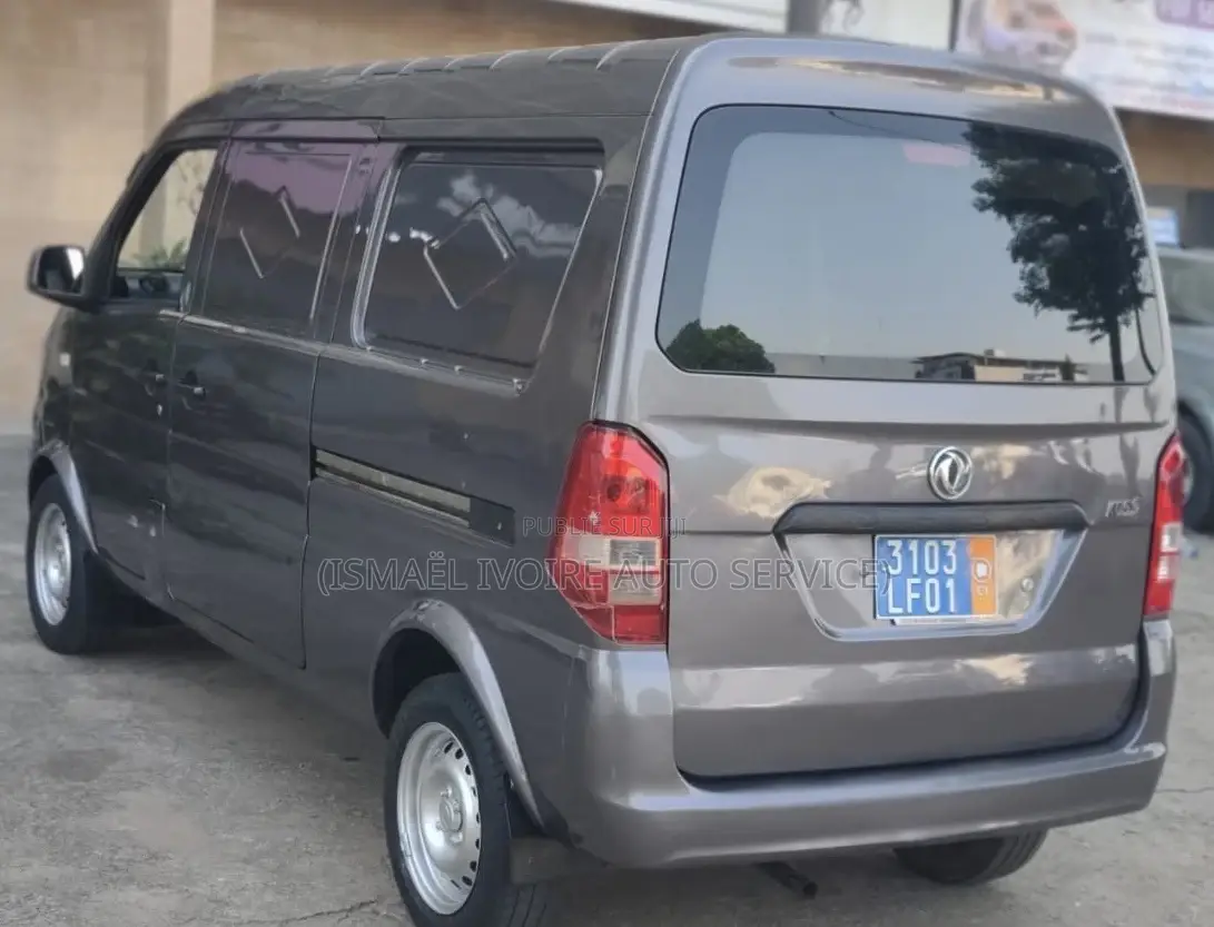 Dongfeng Fengxing Joyear 2021 Gris