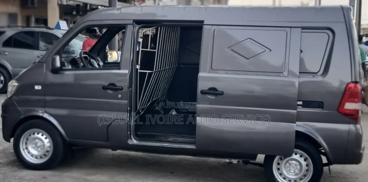 Dongfeng Fengxing Joyear 2021 Gris