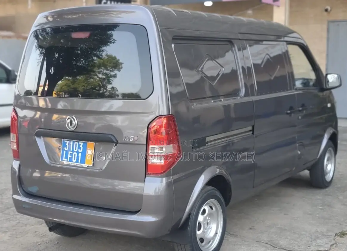 Dongfeng Fengxing Joyear 2021 Gris