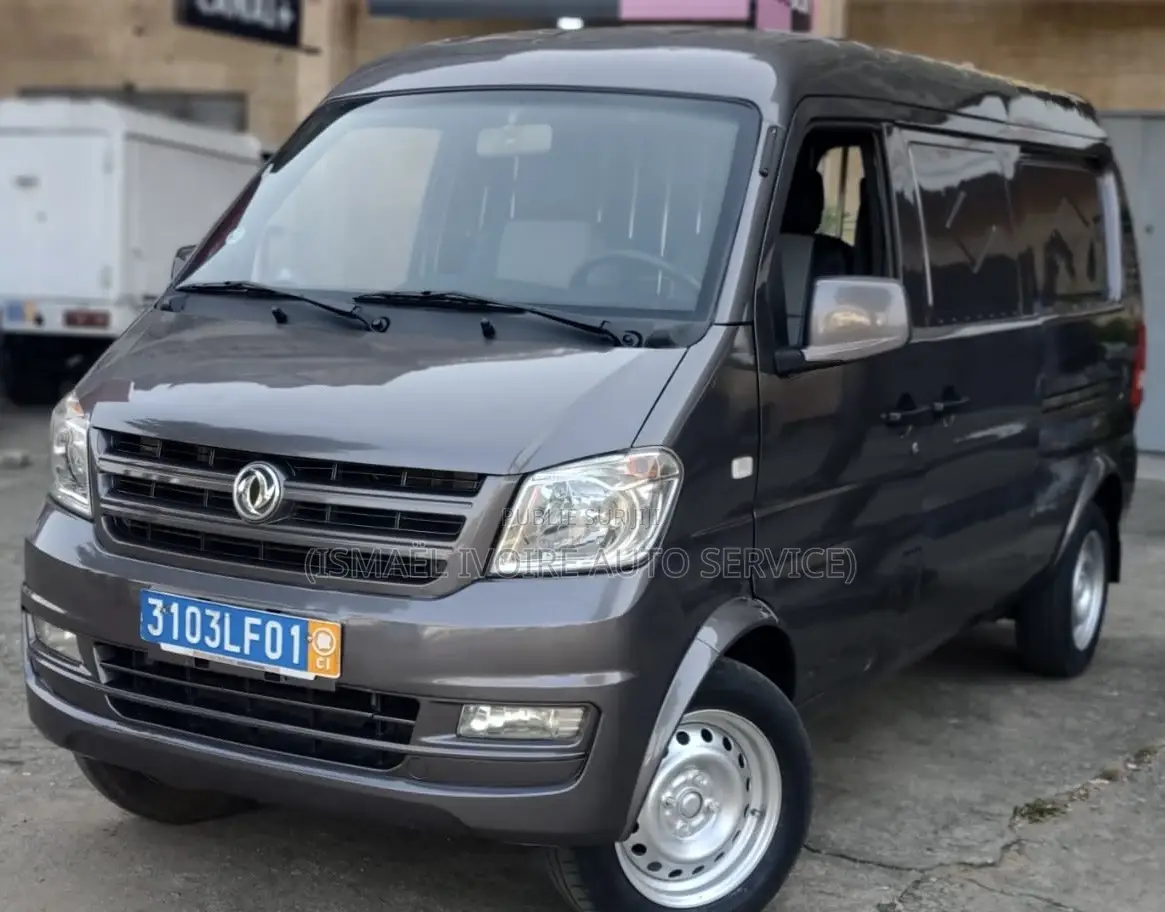 Dongfeng Fengxing Joyear 2021 Gris
