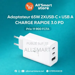 Chargeur Type-C 65w Fast Charge 3 Ports