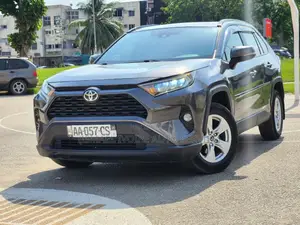 Toyota RAV4 XLE AWD 2019 Gris