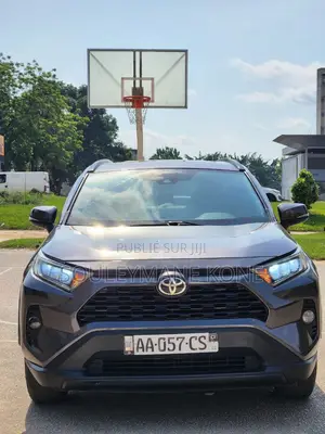 Toyota RAV4 XLE AWD 2019 Gris