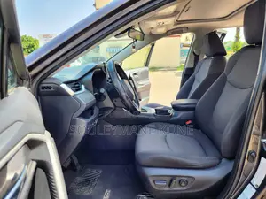 Toyota RAV4 XLE AWD 2019 Gris