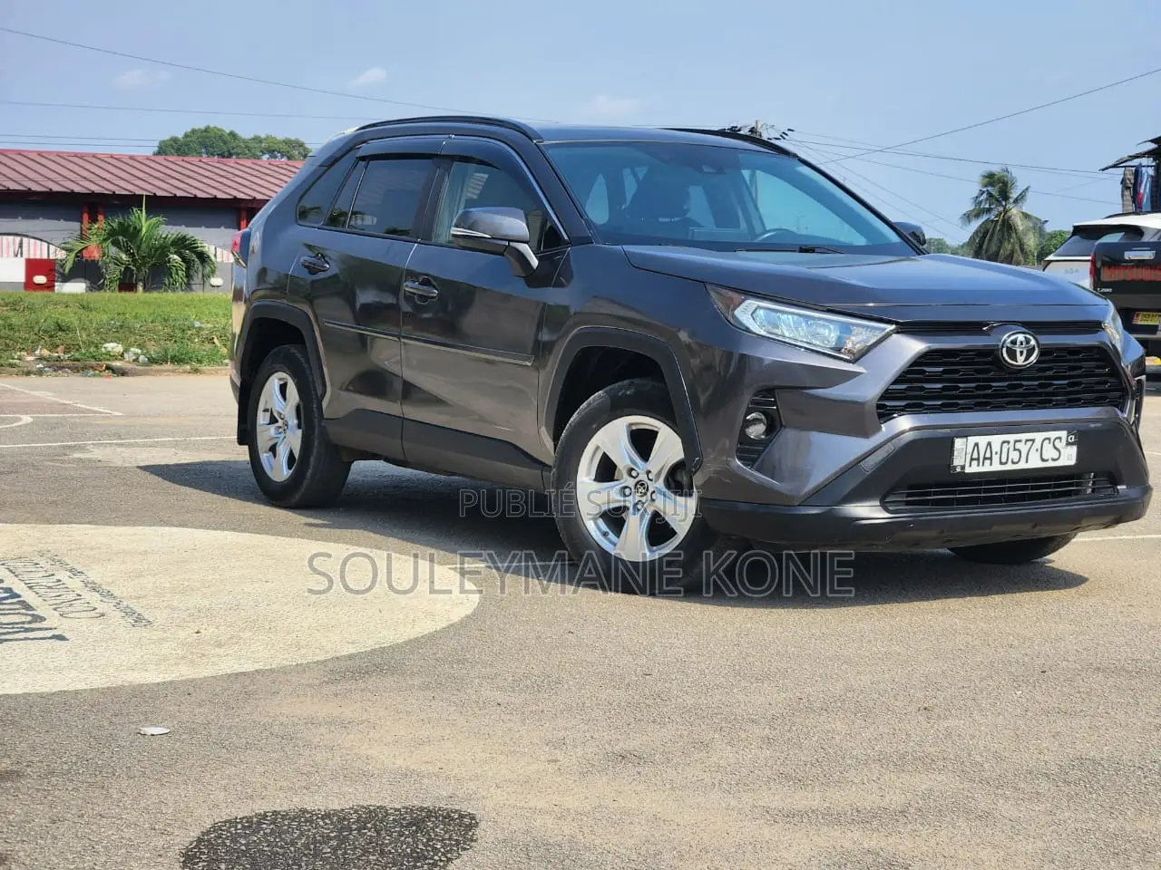 Toyota RAV4 XLE AWD 2019 Gris