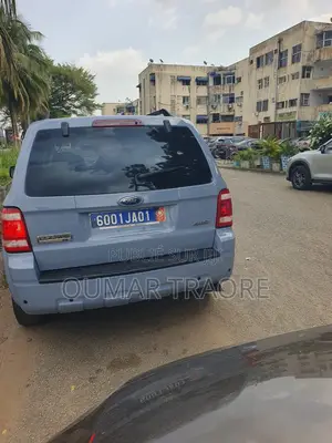 Ford Escape 2009 Gris