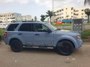 Ford Escape 2009 Gris