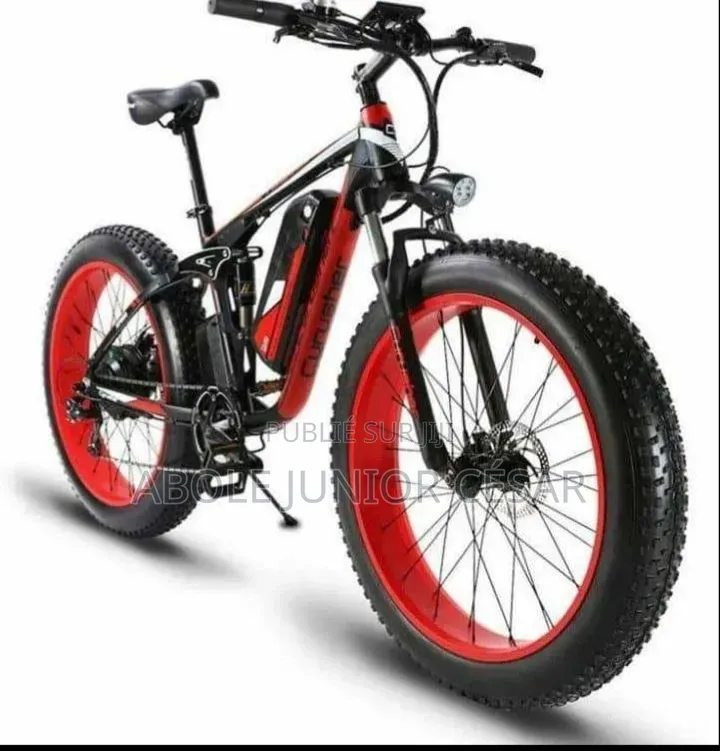 Vélo Électrique