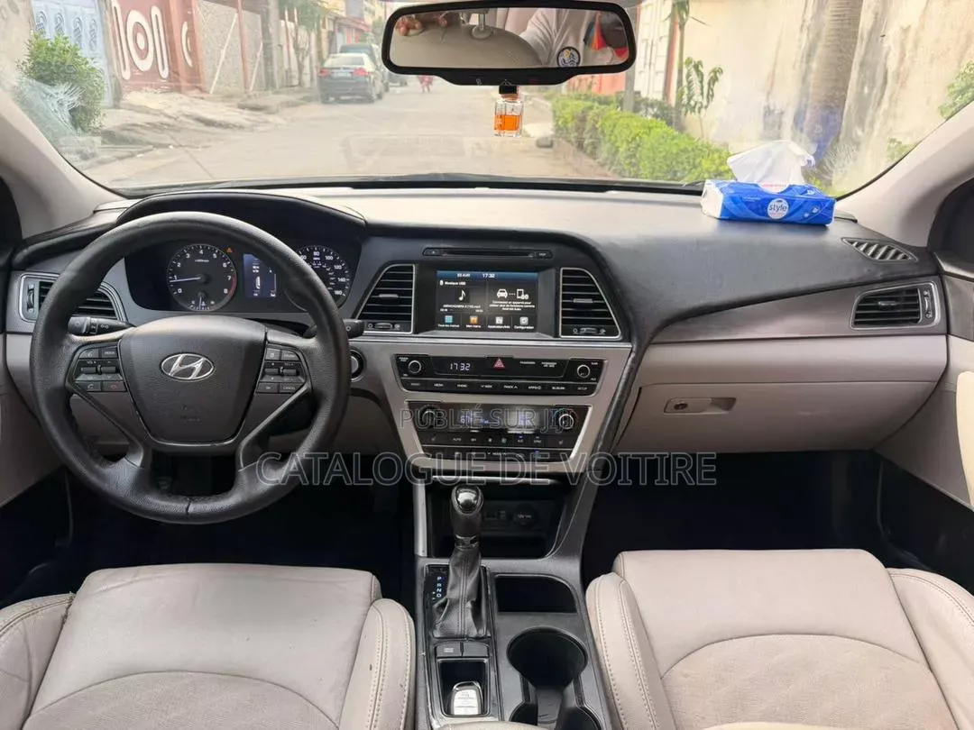 Hyundai Sonata 2016 Marron
