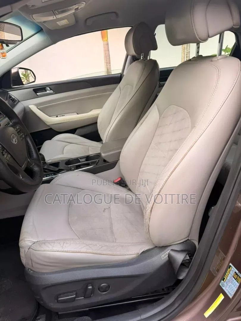 Hyundai Sonata 2016 Marron