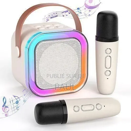 Caisson Portable Système Sonore Avec Microphone
