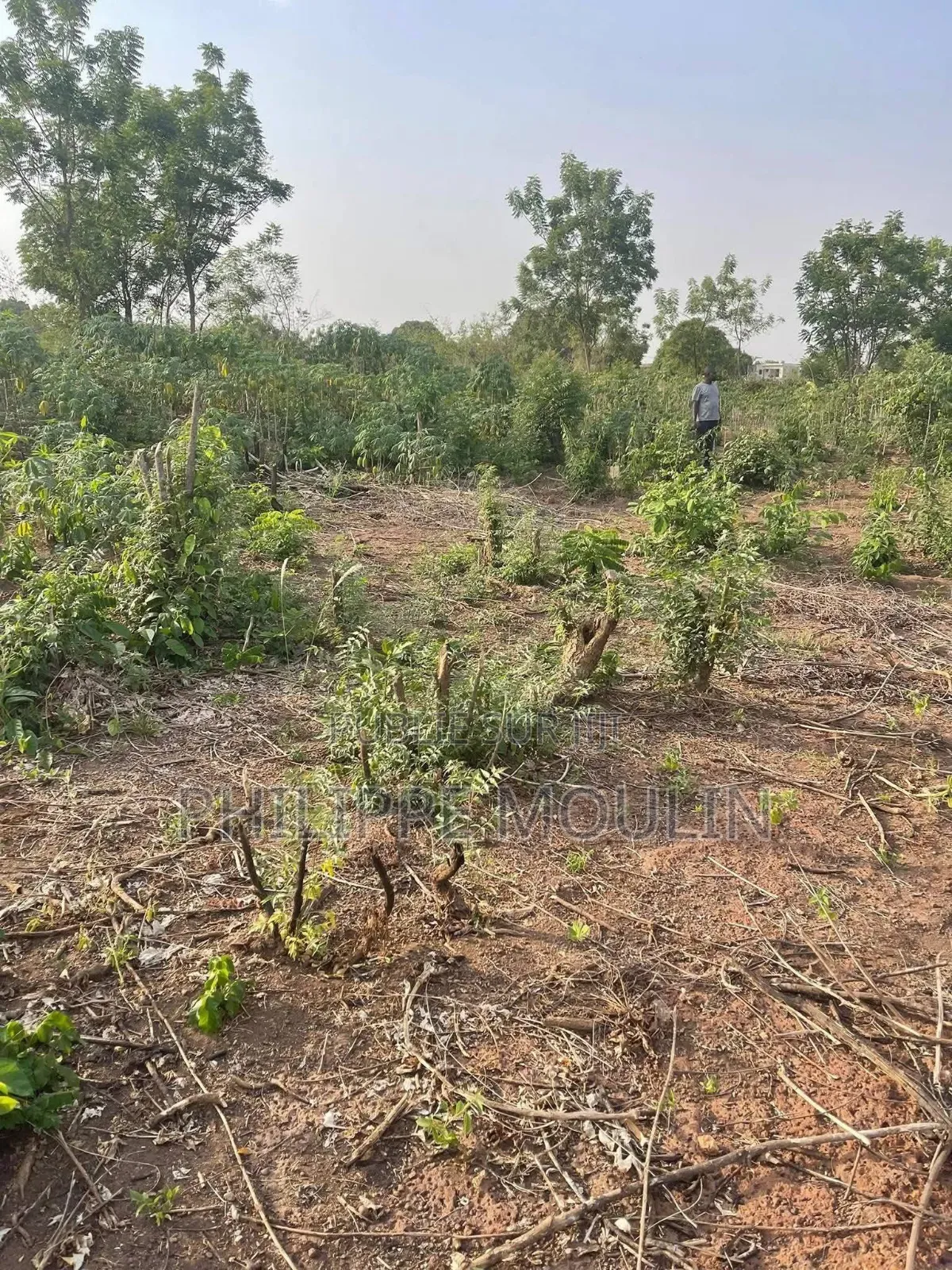 Terrain En Vente A Yamoussoukro