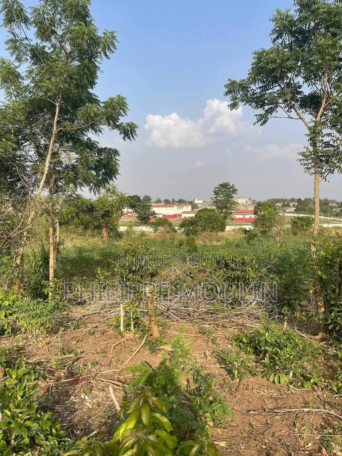 Terrain En Vente A Yamoussoukro
