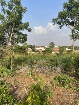 Terrain En Vente A Yamoussoukro