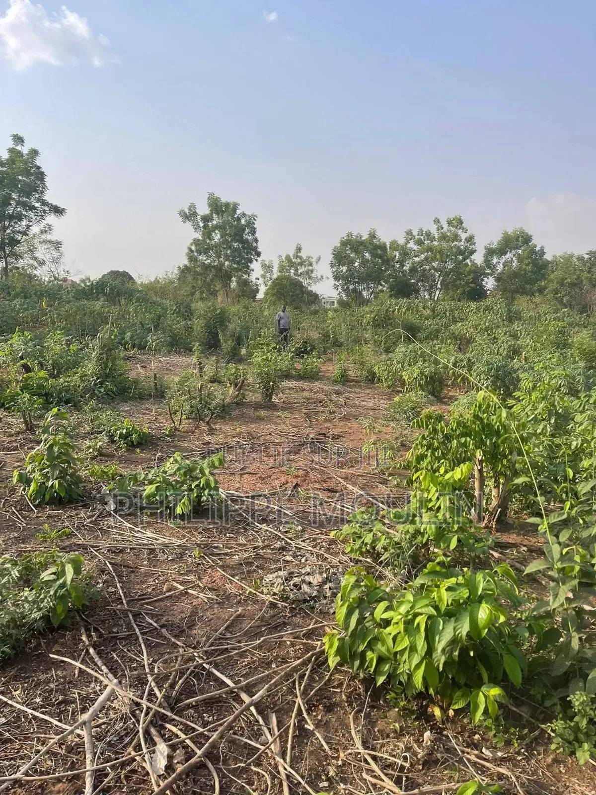 Terrain En Vente A Yamoussoukro