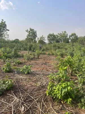 Terrain En Vente A Yamoussoukro