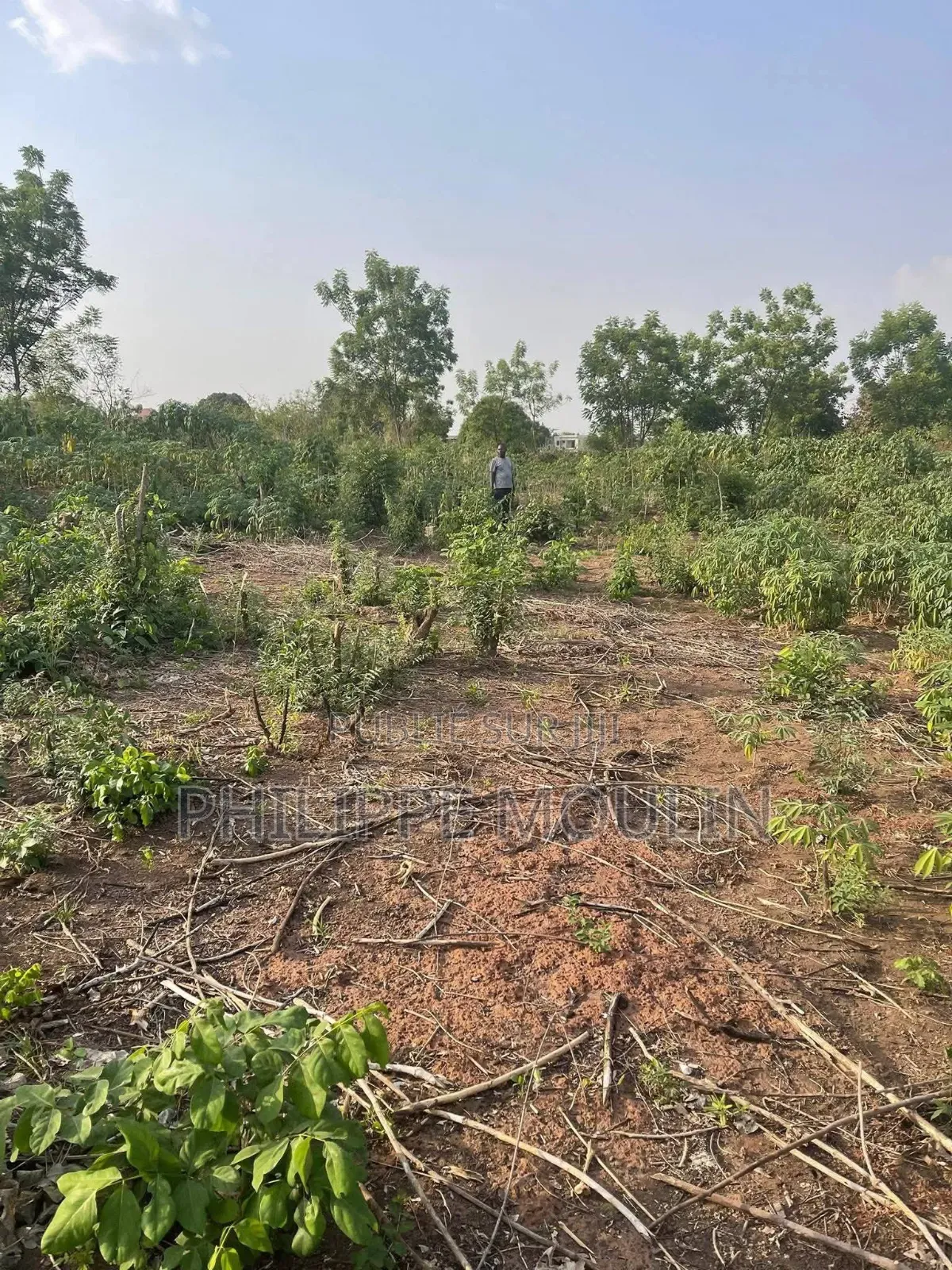 Terrain En Vente A Yamoussoukro