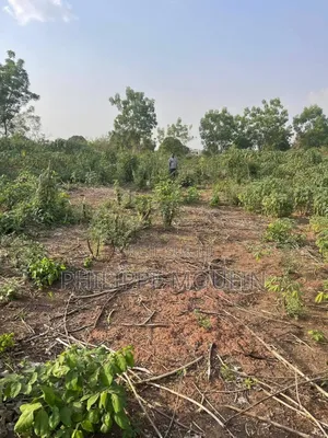 Terrain En Vente A Yamoussoukro
