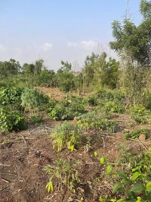 Terrain En Vente A Yamoussoukro