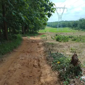 Vente De Terrain Tiassalé
