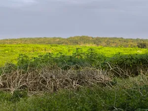Terrain a Vendre a Yamoussoukro