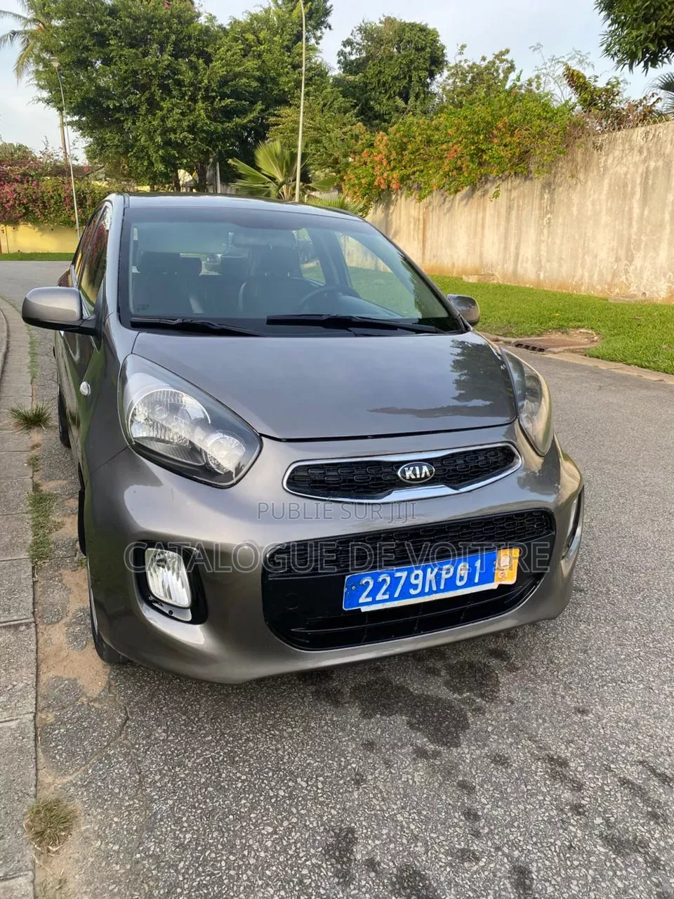 Kia Picanto 2016 Gris