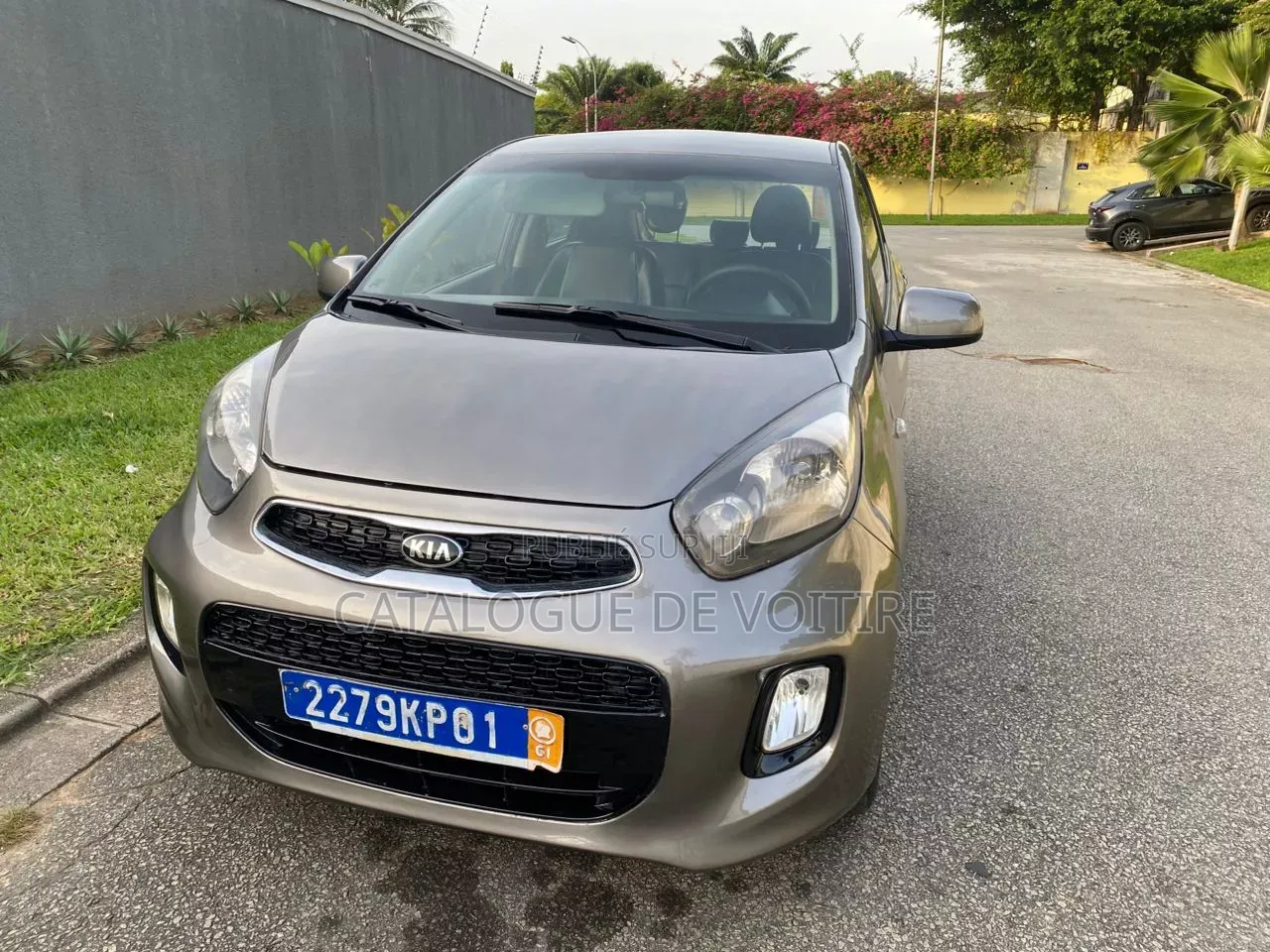 Kia Picanto 2016 Gris
