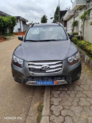 Hyundai Santa Fe 2006 Gris