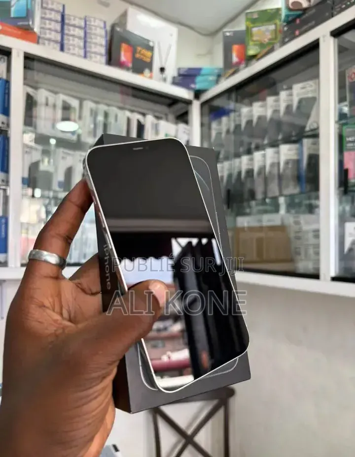 Nouveau Apple iPhone 12 Pro Max 128 GB Autre