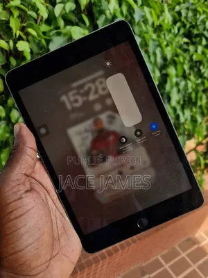Apple iPad mini 5 64 GB Gris