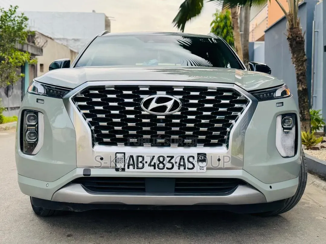 Hyundai Palissade 2022 Gris