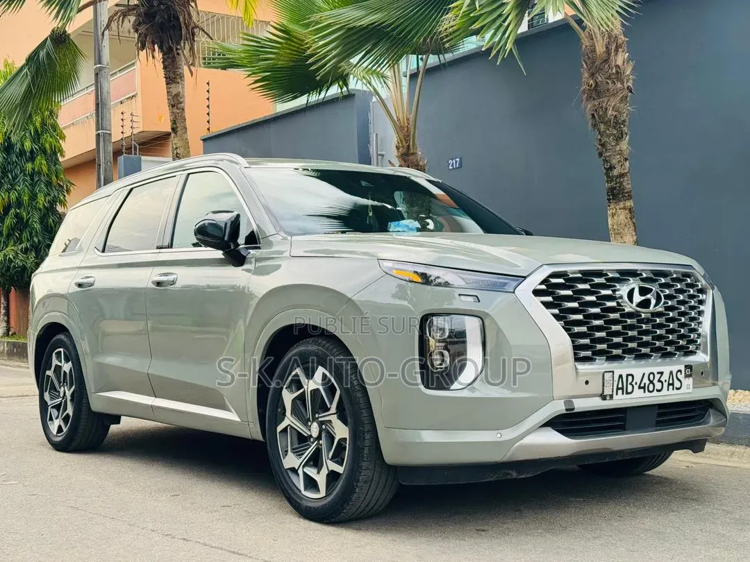 Hyundai Palissade 2022 Gris