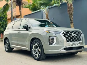 Hyundai Palissade 2022 Gris